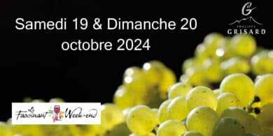 Fascinant Week-end 2024