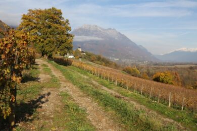 Fermeture Pont de Toussaint